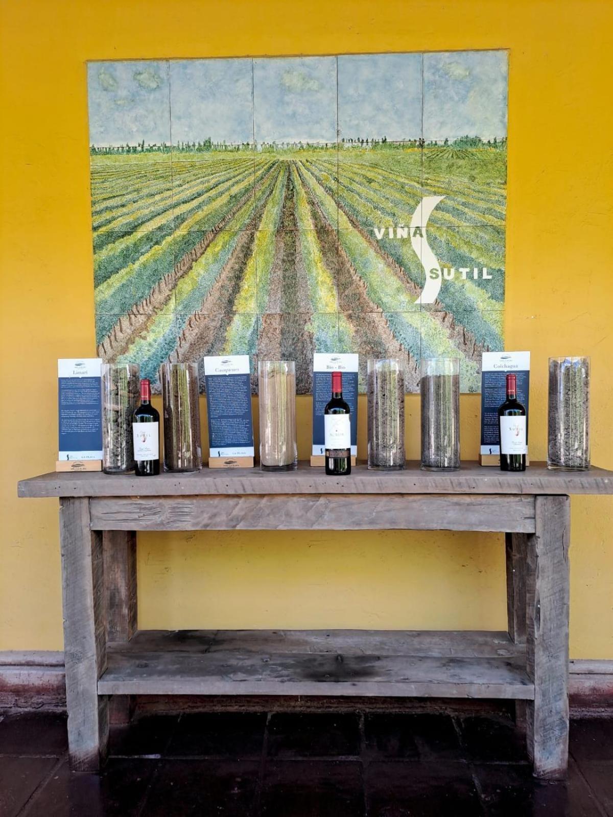 Vina La Playa Hotel & Winery Санта-Крус Экстерьер фото